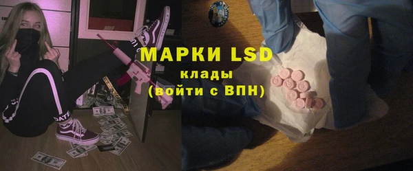 стафф Зеленокумск