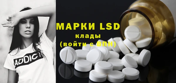 стафф Зеленокумск