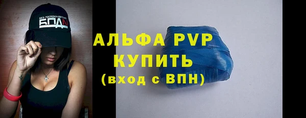 стафф Зеленокумск