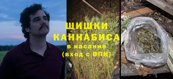 дмт Зеленодольск