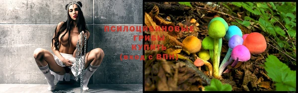 бутик Зерноград