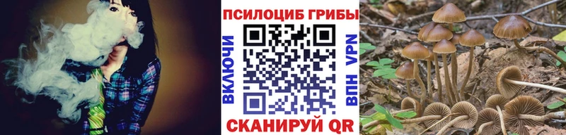 Купить Змеиногорск Псилоцибиновые грибы мухоморы