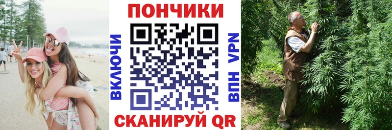 Купить где  Змеиногорск  Канабис ГИДРОПОН 